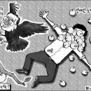11-13 이미지