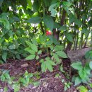 홍천농장 이미지