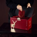 경희태강한의원 이미지