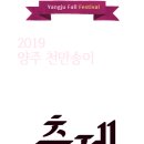 천일홍축제 네이버블로그