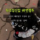 애완견배변봉투 | 강아지 가성비 배변봉투 추천! 600매 대용량 풉백 쓰고 산책 스트레스 사라졌어요