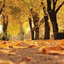 대보공인중개사 이미지