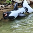 광덕3로4 이미지