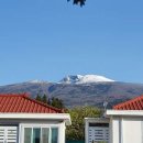 제주팜파스펜션 이미지