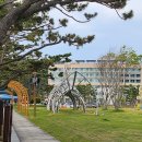 변산해수욕장 | 변산해수욕장 야영장 캠핑 차박 캠핑장 만원의행복 여행 군산에서 가까워요