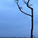 더봄호텔 | 강원도 양양 아이랑 2박3일 봄여행 더낙산호텔 스탠다드 트윈(뒤쪽) 숙박 후기