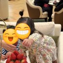 피크니코