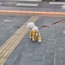 라이또PC 별내본점 | 08. 봄 春 🌼