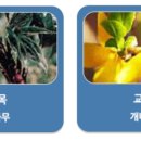 예림학교 이미지