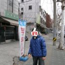 그린피쉬 이미지
