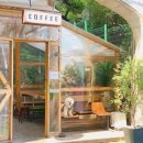 학동 애견 이미지