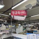기장시장 회포장 추천, 아난티 앞 땡큐회센터 솔직후기 🐟✨