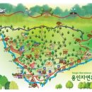 용인자연휴양림 야영장 이미지