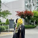 63 | 콘래드 서울 제스트 주말 디너 리뉴얼 솔직후기 (63파빌리온, 인터컨티넨탈 브래서리 비교)