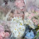 노원-공릉-3033 이미지