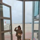중국인 아빠랑 칭다오 여행 1일차 미카엘성당 대복도 중산로 54광장 타이동야시장