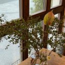 은구비로 이미지