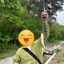성암 | 성암저수지 신시저수지 배스낚시 힘든후기