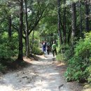 월평공원 습지길 이미지