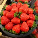 다라1천 이미지