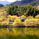 현천마을 이미지