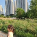 명가치킨 이미지