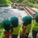 숲해설체험 이미지