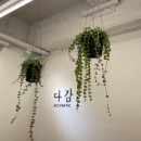 다감에스테틱 네이버블로그
