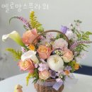 멜로망스플라워