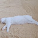 함평세탁소 이미지