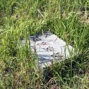 의령 죽전리 고분군 이미지