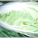 천지통신