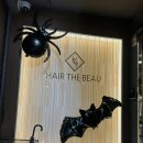 이레찬 | [신대방미용실] 헤어더뷰 신대방삼거리점 클리닉 받은 후기_이레디자이너