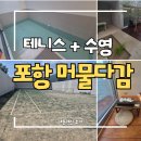 별빛담은펜션 | 포항 독채 풀빌라 머물다감｜아빠와 아이들이 함께 다녀온 찐 감성 테니스 수영장 펜션 솔직후기(머물방)