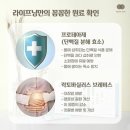 보라인셀덤 이미지