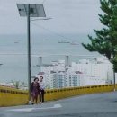 산호장 Daum카페