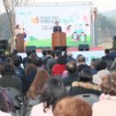 보성군 치매안심센터 이미지