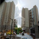 신월동209 이미지