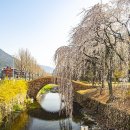 창녕 영산 만년교 이미지