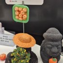 인헤어샵 이미지