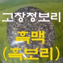 프롭테라피&밴드운동 이미지