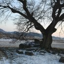 초봉리 고인돌 이미지