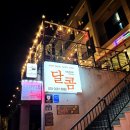 메트로펜션 | 여수여행 가성비 숙소 달콤펜션 방문기