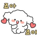 고기날다 이미지