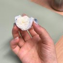 봉추2농장 이미지