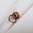 신사1-025 이미지