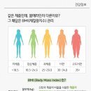 브이세븐(V7) 이미지