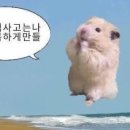(주)촌장 이미지