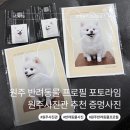 멍뭉컷 | 원주사진관 포토라임 반려동물 프로필 단계동 증명사진 프로필사진