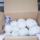 로맨스 다육 이미지